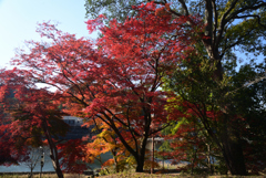 211126c興聖寺19