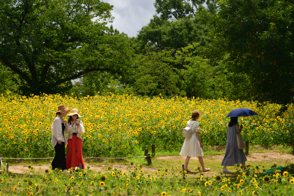 220729万博公園60