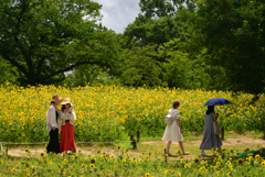 220729万博公園60