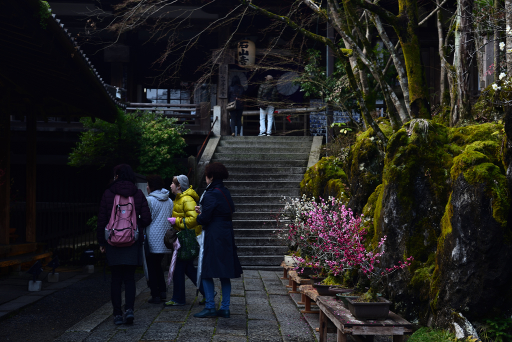 190301a石山寺10