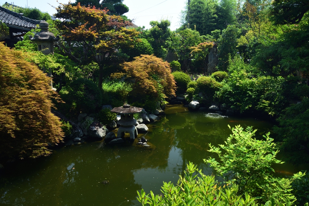 180715bおふさ観音17+