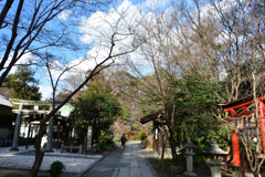 260113c京都御苑01