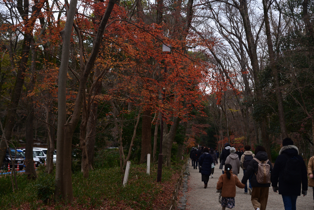 230102下鴨神社06