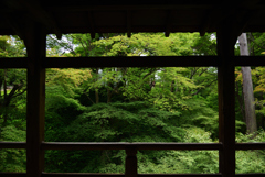 190713a東福寺31