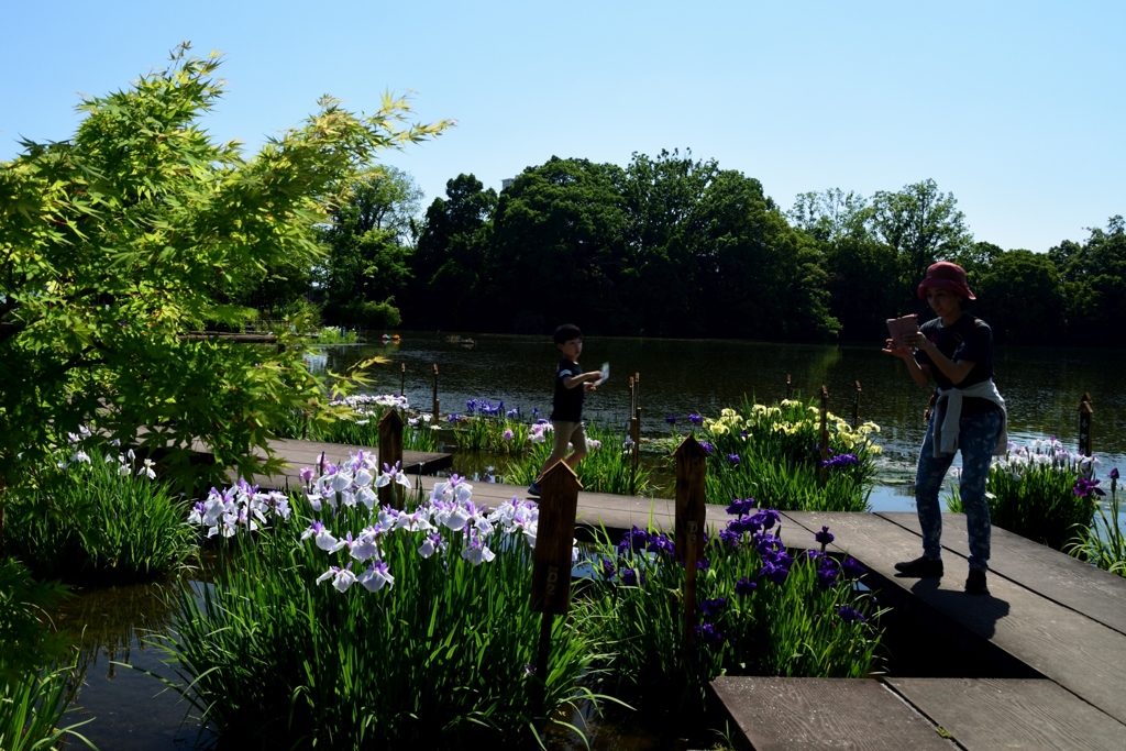 180602b枚方市民の森53+
