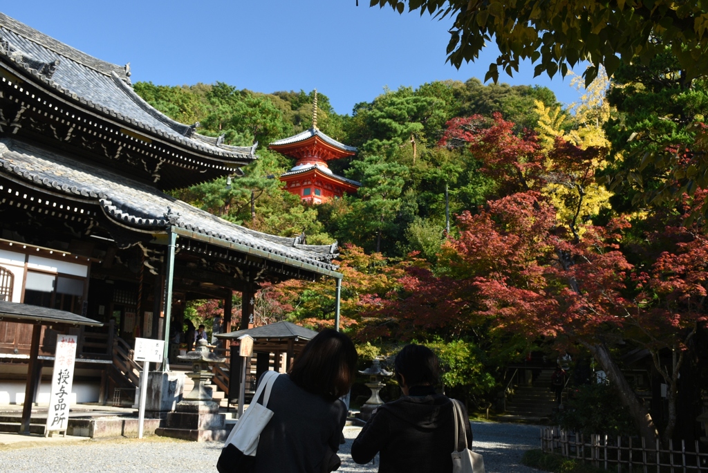 171103c今熊野観音40