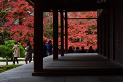 201113南禅寺61天授庵