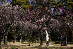 200224b意賀美神社33