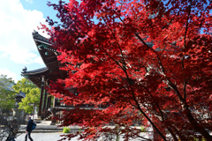 231204a清凉寺13