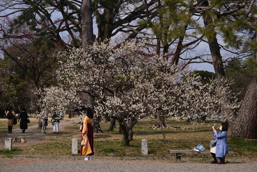 220312b京都御苑12