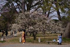 220312b京都御苑12