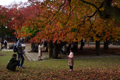 201108奈良公園32