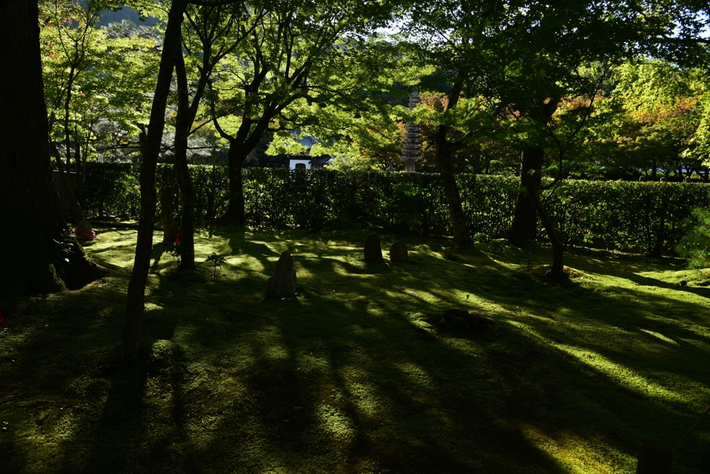 181018d化野念仏寺61