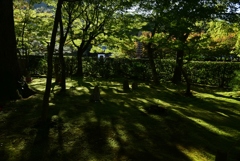 181018d化野念仏寺61