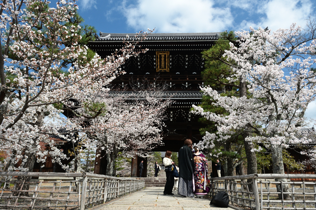 250403c金戒光明寺10