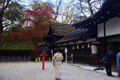 241215b下鴨神社25