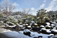 200209a妙満寺26 200209a妙満寺26