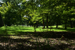 231006g京都御苑10