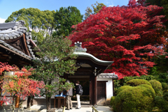 211120b栄摂院02