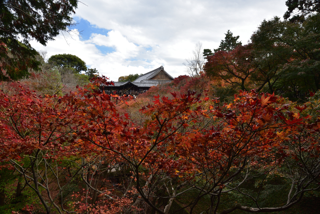 201122d東福寺41