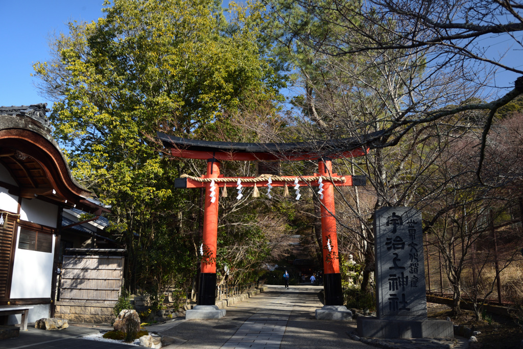 210115d宇治上神社25
