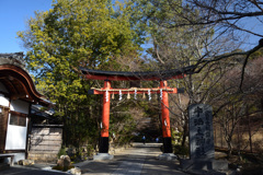 210115d宇治上神社25