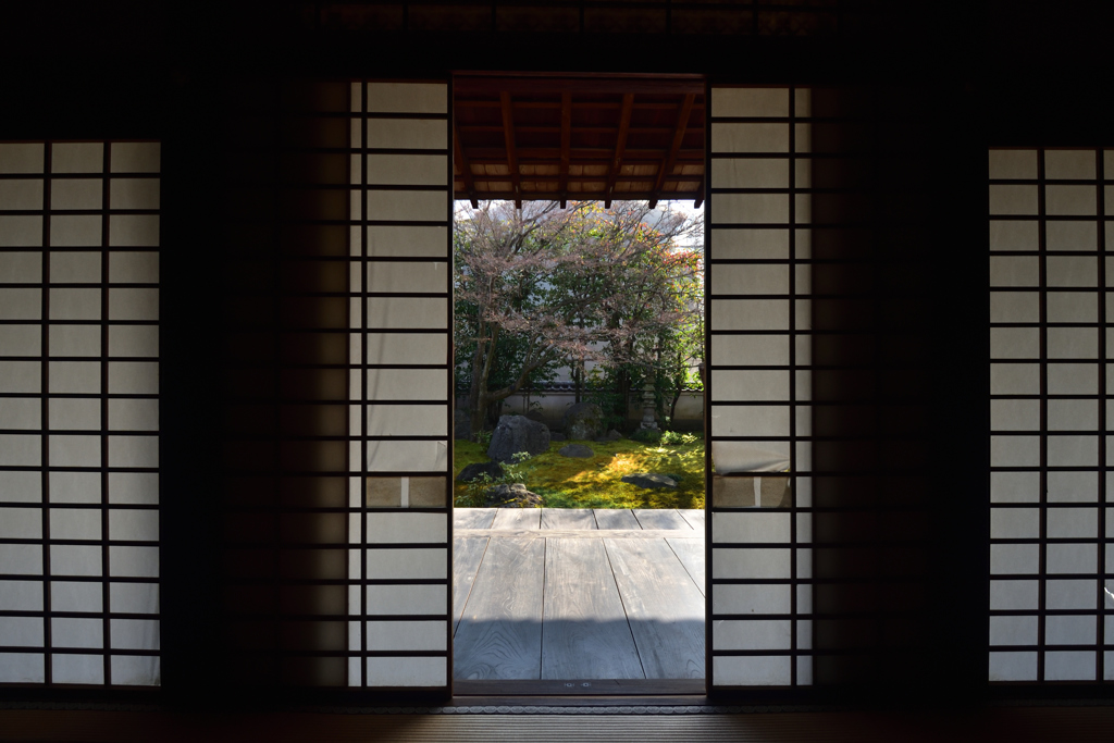 190205cだるま寺63