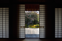 190205cだるま寺63