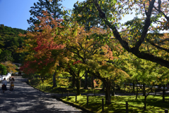 191102a南禅寺07