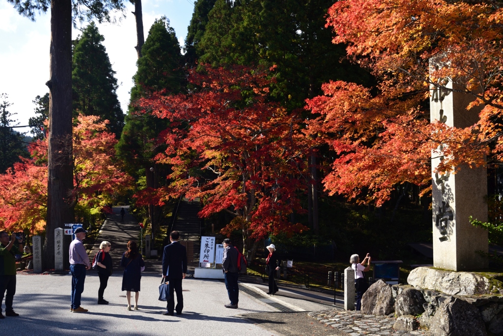 181107b延暦寺18