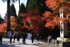 181107b延暦寺18