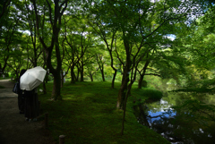 240914京都植物園37