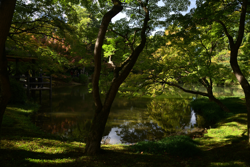 211022京都植物園45