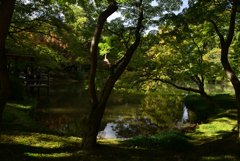 211022京都植物園45
