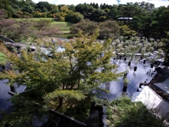 251013梅小路公園