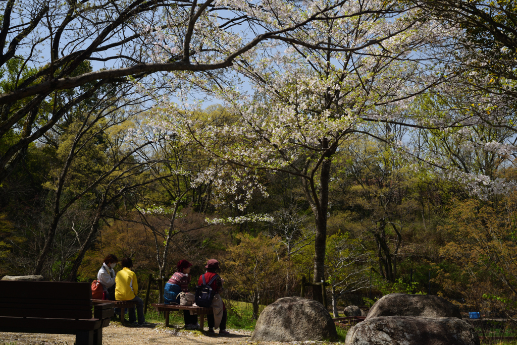 210331a山田池公園27