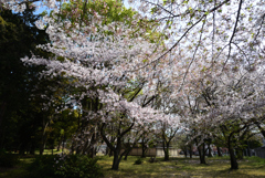 200411久世神社07