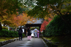 211120d南禅寺33