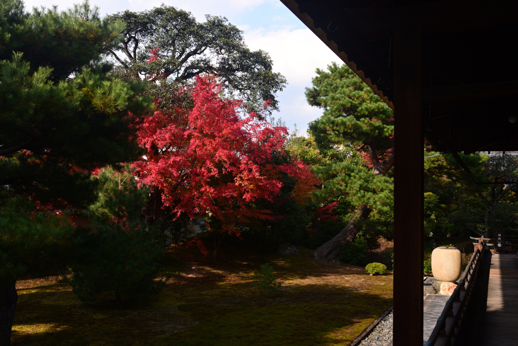 241203b相国寺20