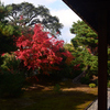 241203b相国寺20