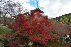 191205d清水寺17