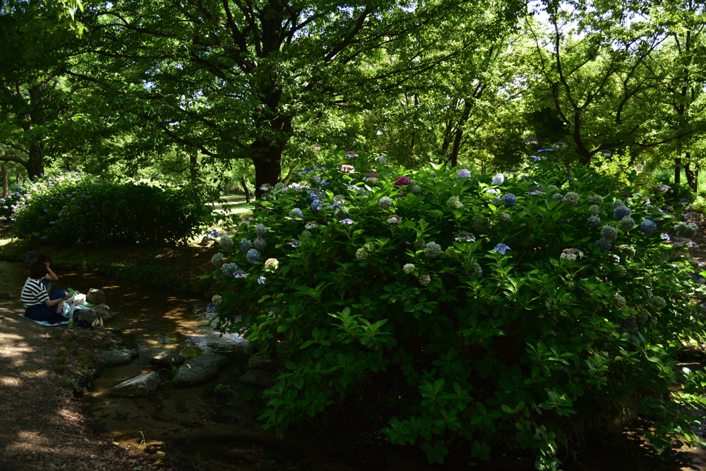 200702鶴見緑地34