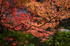 211202a醍醐寺42