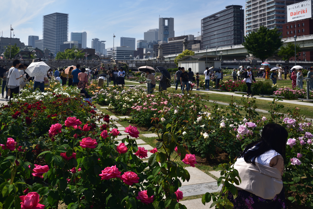 190512b中之島公園25