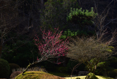200228石山寺43 200228石山寺43
