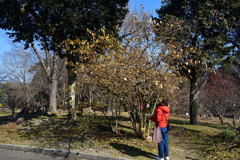 260117a京都植物園32