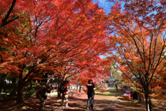 231204a清凉寺05