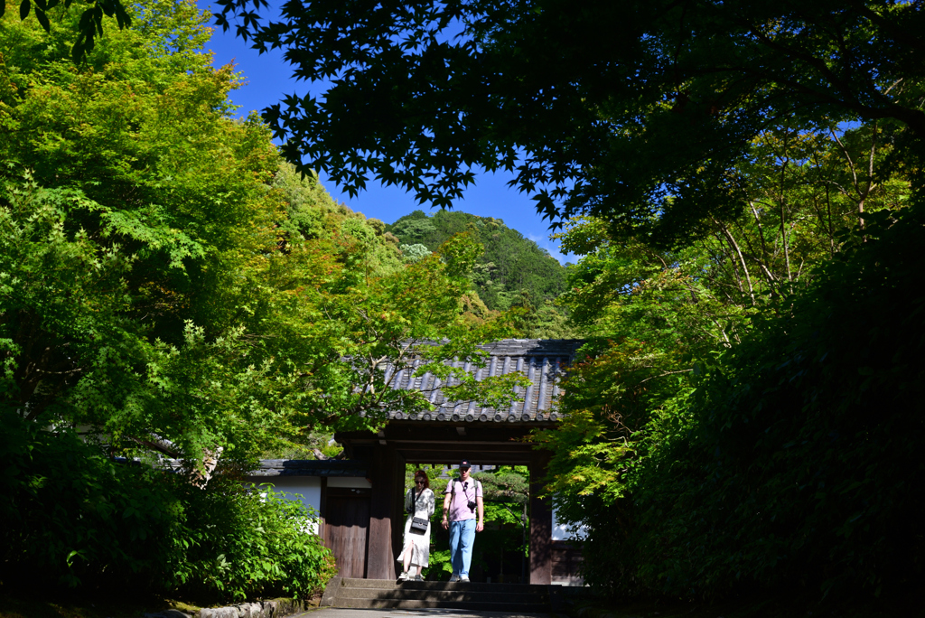 240521f南禅寺38