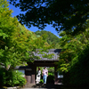 240521f南禅寺38