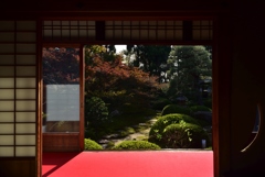 181118d泉涌寺雲龍院41